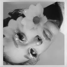 News Ariana